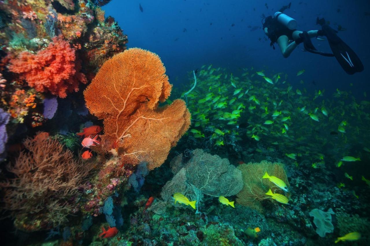 Aquzz & - Maldives Гостевой дом 4*